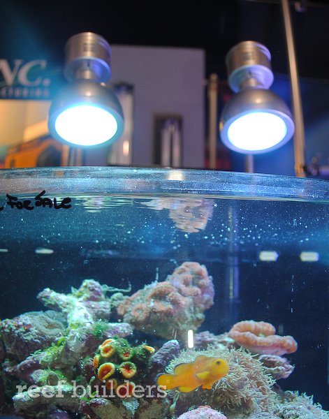 indian villager caught nude shitting peeing hidden spy indian