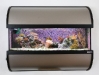aquarium-move-wall-mounted-2.jpg