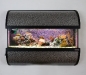 aquarium-move-wall-mounted.jpg