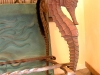 bronzed-seahorse-aquarium-5