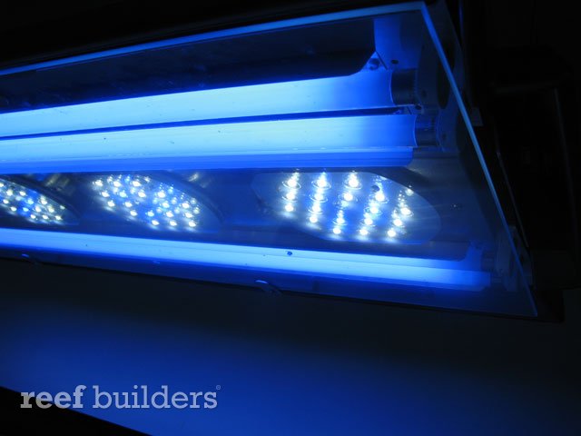 elos-pro-led-5.jpg