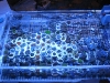 fragstock-frag-swap-event-4