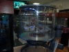 h-s-skimmer-400-custom-1.jpg