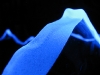 ice-age-aquarium-6