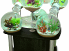 labyrinth-aquarium_0