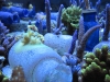 live-bottles-baltimore-blue-glass-13
