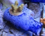live-bottles-baltimore-blue-glass-7