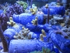 live-bottles-baltimore-blue-glass-9