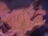 IMG_3292.JPG
