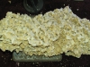 marco-florida-rock-3