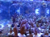 frag-fest-10.jpg
