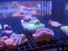 frag-fest-9.jpg