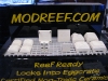modreef-3