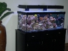 panorama-led-light-fixture-9
