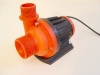 royal-exclsuiv-red-dragon-pump-2.jpg