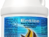 entice_2-l.jpg