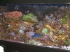 pictures-058-medium.jpg