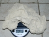 vidarock-11.jpg