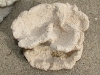 vidarock-3.jpg