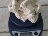 vidarock-5.jpg