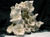 vida-rock042209-053.jpg