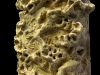vida-rock042209-091.jpg
