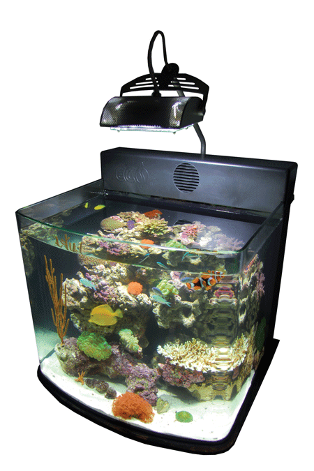 mini-with-halide-eco-system