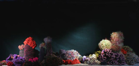 Crochet-Coral-Reef