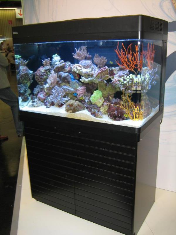 red-sea-max-250-66-gallon-aquarium.jpg