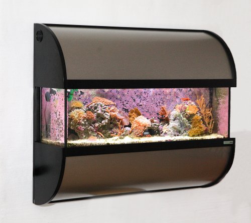 aquarium-move-wall-mounted