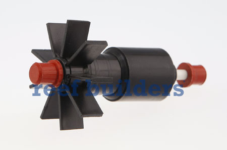 fauna-marin-impeller