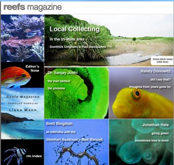 reefs