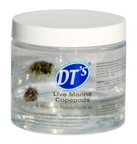 dt-live-marine-copepods
