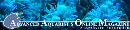 headerimage21