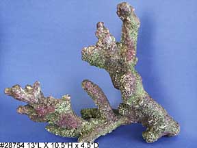 natures-image-fake-live-rock