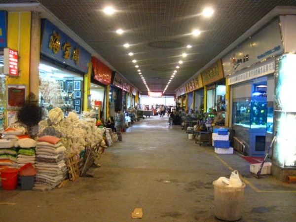 china-reef-keeping