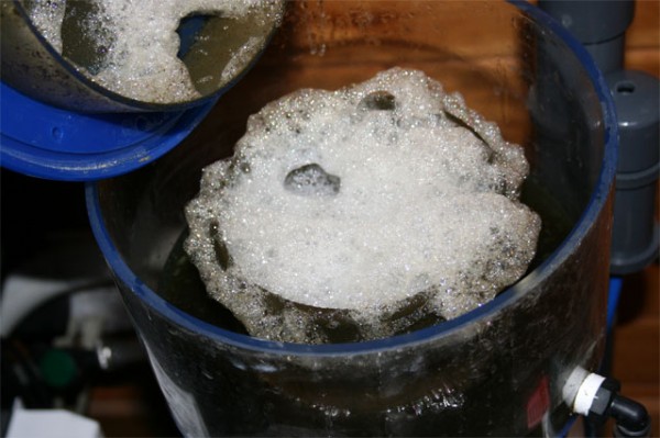 (preview-image)