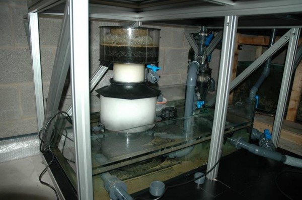 sump-1