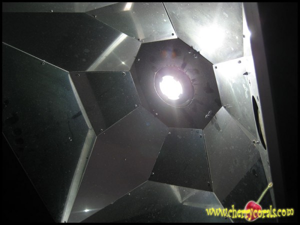 light4