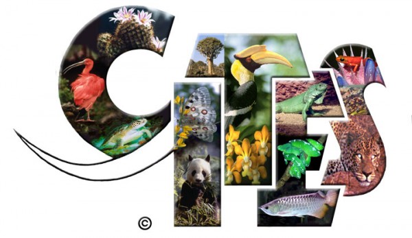 cites_logo