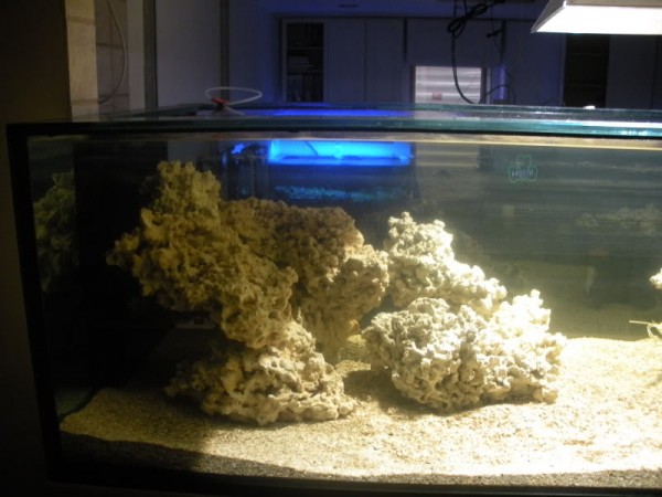 plasma-lighting-2