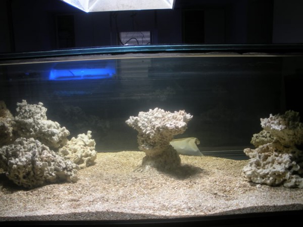 plasma-lighting-3