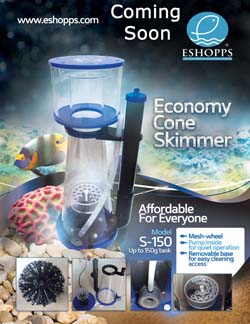 economycone-medium