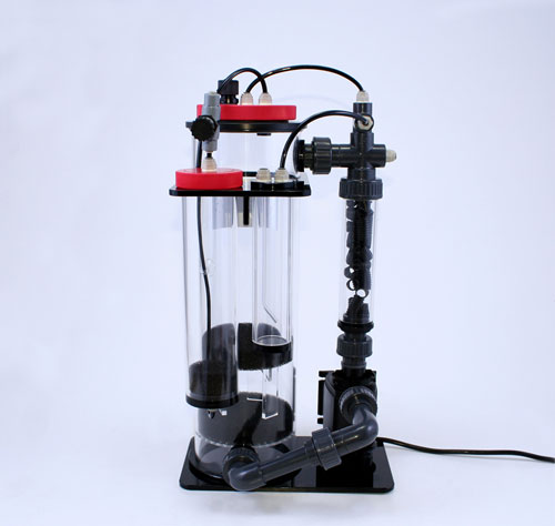 (preview-image)