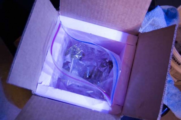 box2