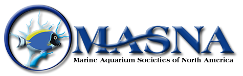 (preview-image)