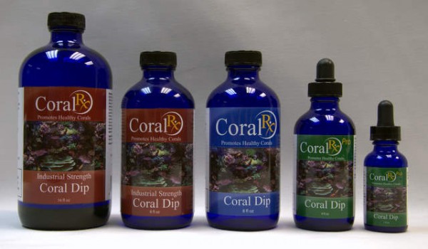 coral-rx-coral-dip