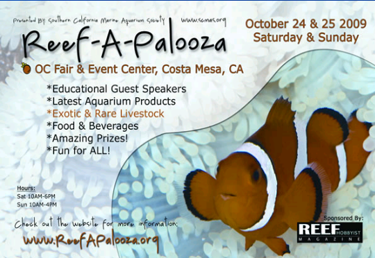 reefapalooza
