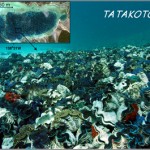 Mapiko_Tatakoto