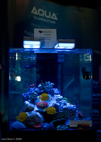 cree-XPG-led-aquaillumination cree-XPG-led-aquaillumination